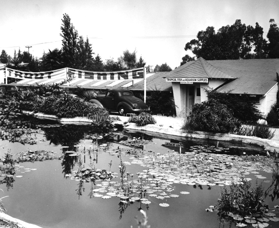 Studio City 1946.jpg